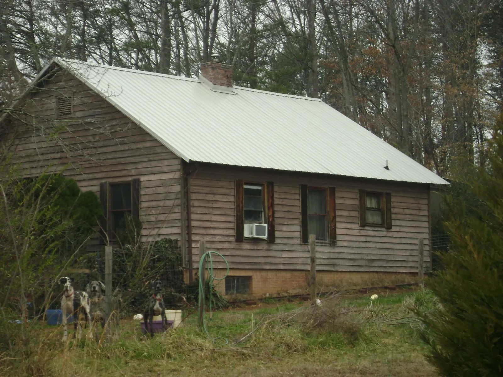 White metal roof on an old wood sided farmhouse, from a Asphalt Shingle Roof Repair job in Winthrop